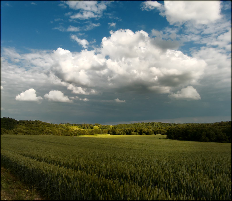 Belarussischen Freiflächen