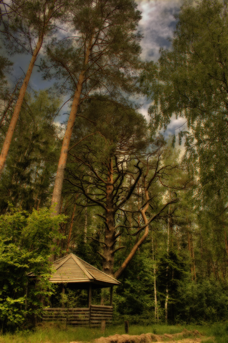 Auf den Spuren der Baba Yaga