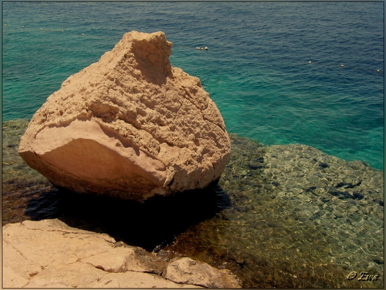 Schönheit des Roten Meeres.