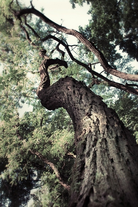 ... Hoch in den Himmel.