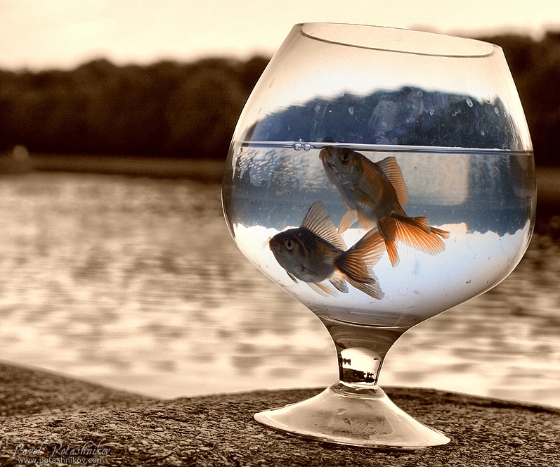 Das Leben auf der anderen Seite ...