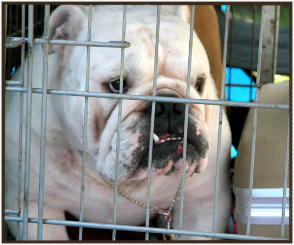 Während dieser Sitzung, dies ehrlich gesagt nicht wissen ...