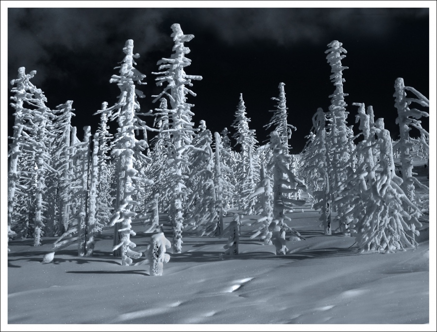 Gore. Night Farbe des Schnees.