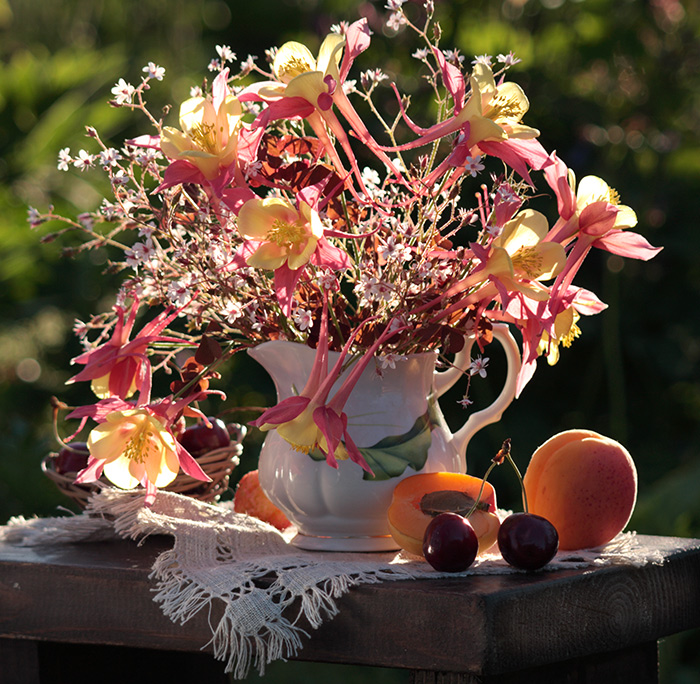 Bouquet vodozbora hinterleuchtet.