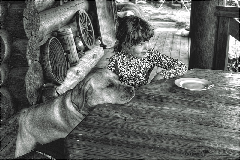 Wo ist meine Platte?