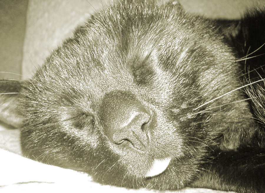 Nichts Heute, will ich Ihnen nicht sagen! :-D