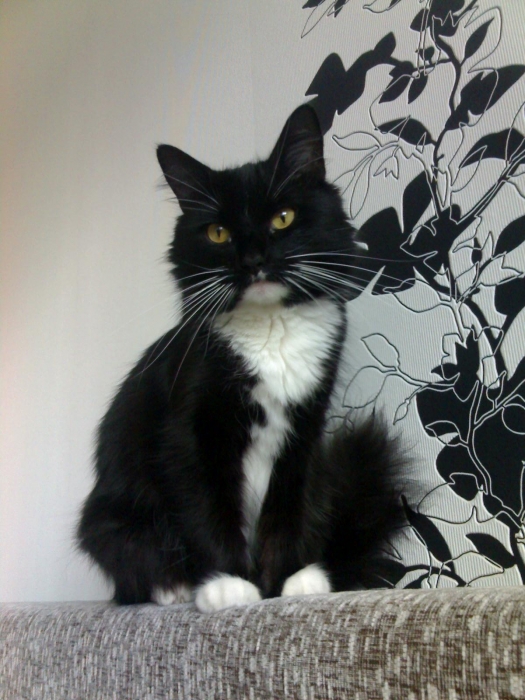 Ich bin in Trauer ....