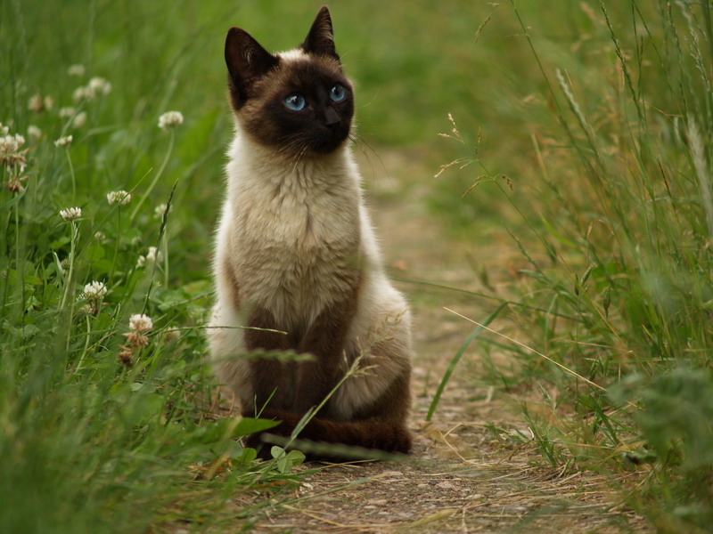 Nun, wo sind diese Probleme?