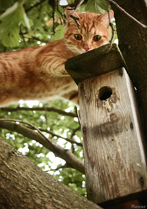 Auf der Suche nach Frühstück