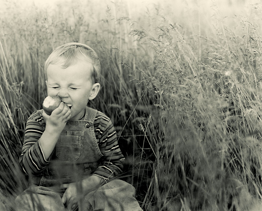 Porträt einer Birne