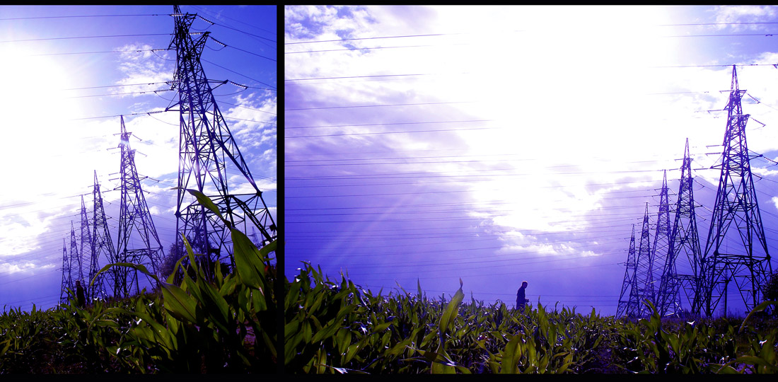 Träume des klaren Lichts