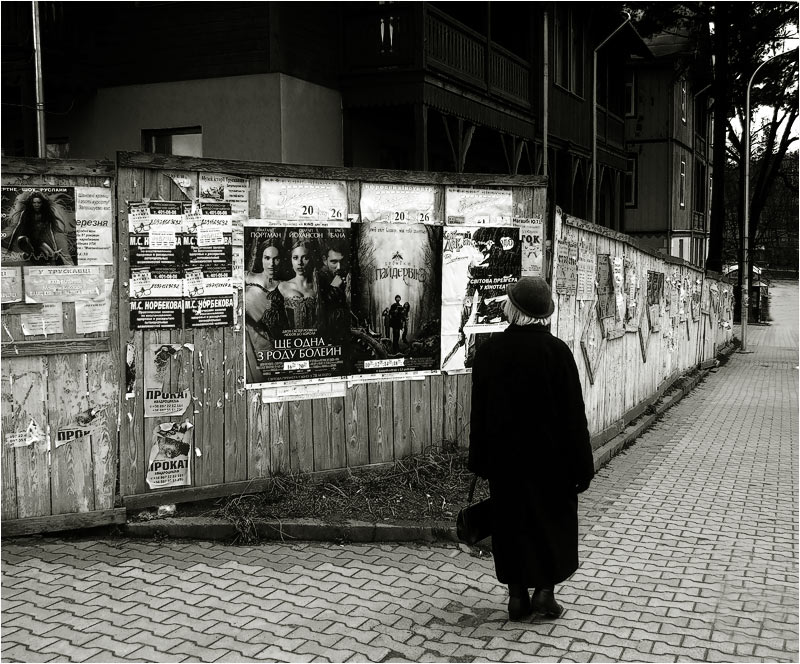 Schlitz ist eine Gattung Boleyn