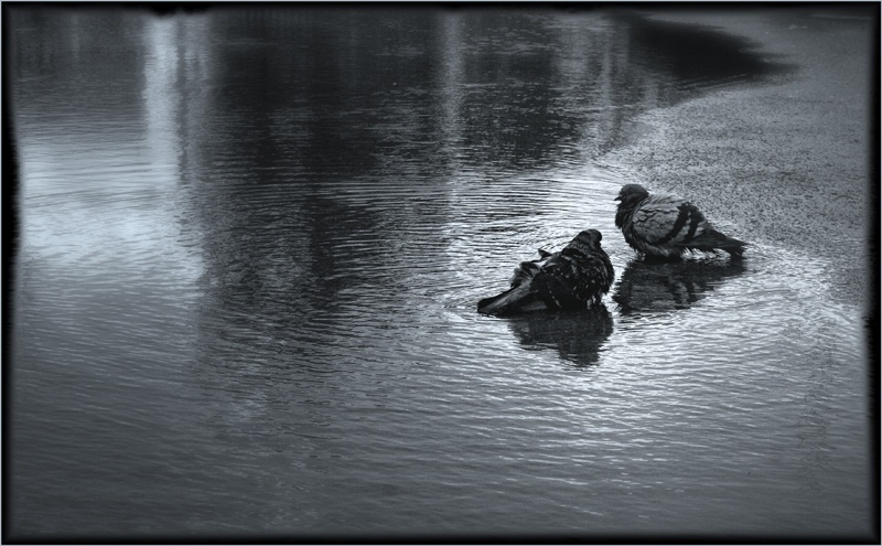 Einige Leute am Strand ...