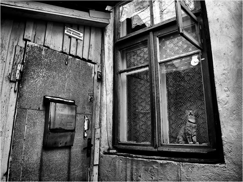 Außenseiter Rin ...