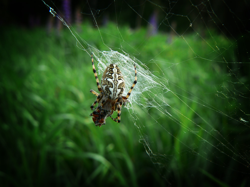 bis zum letzten Tropfen