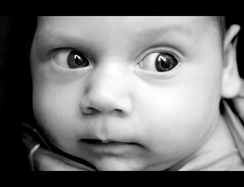 versuchen, diese Welt zu verstehen