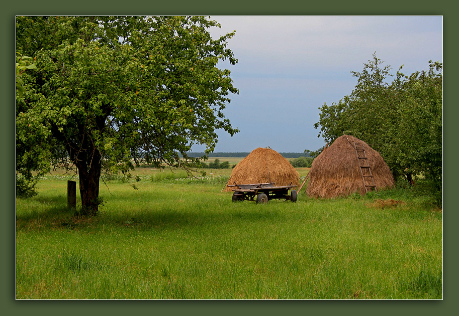 Landschaft im ländlichen Raum