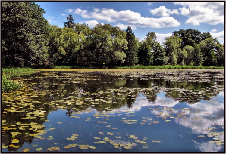 Es jo guchali palanezy