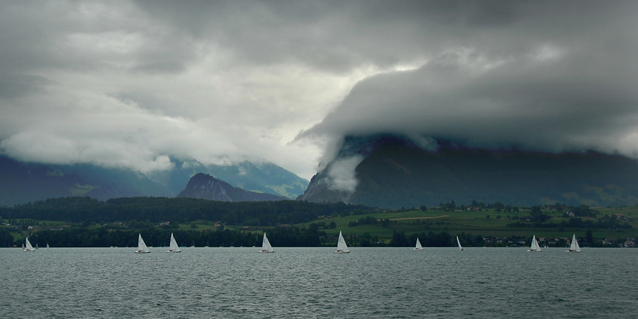 Regatta auf dem Thunersee