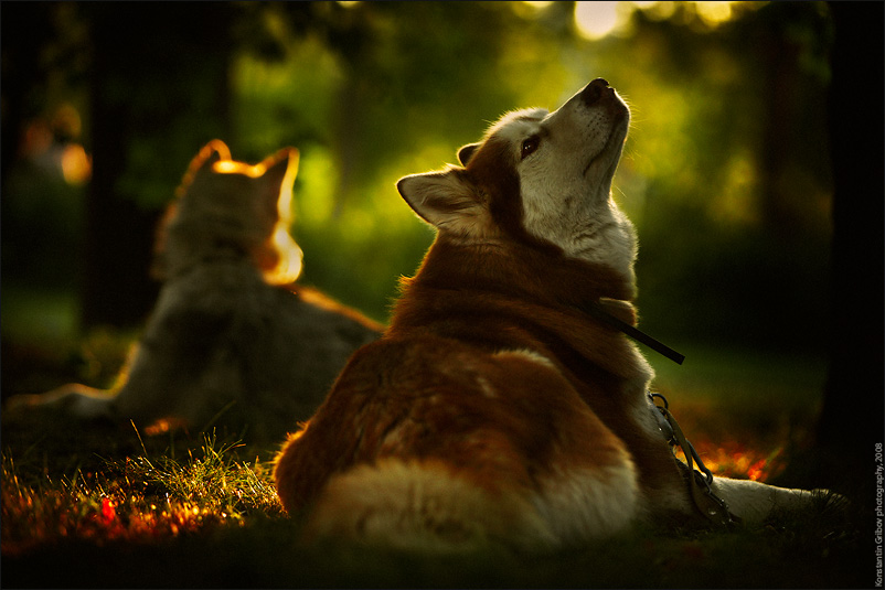 Nase in den Wind! :)