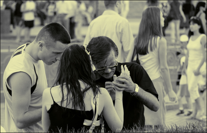 Palmist Züchter ...