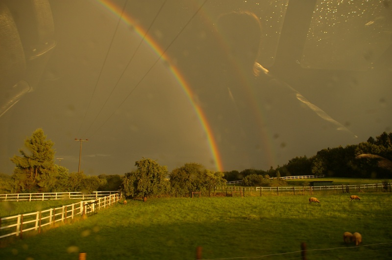 Regenbogen