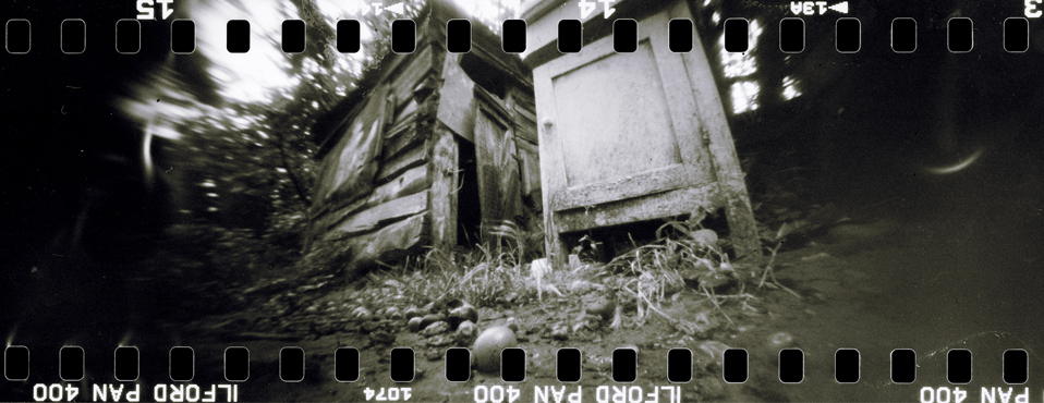 Alte Garten. August.