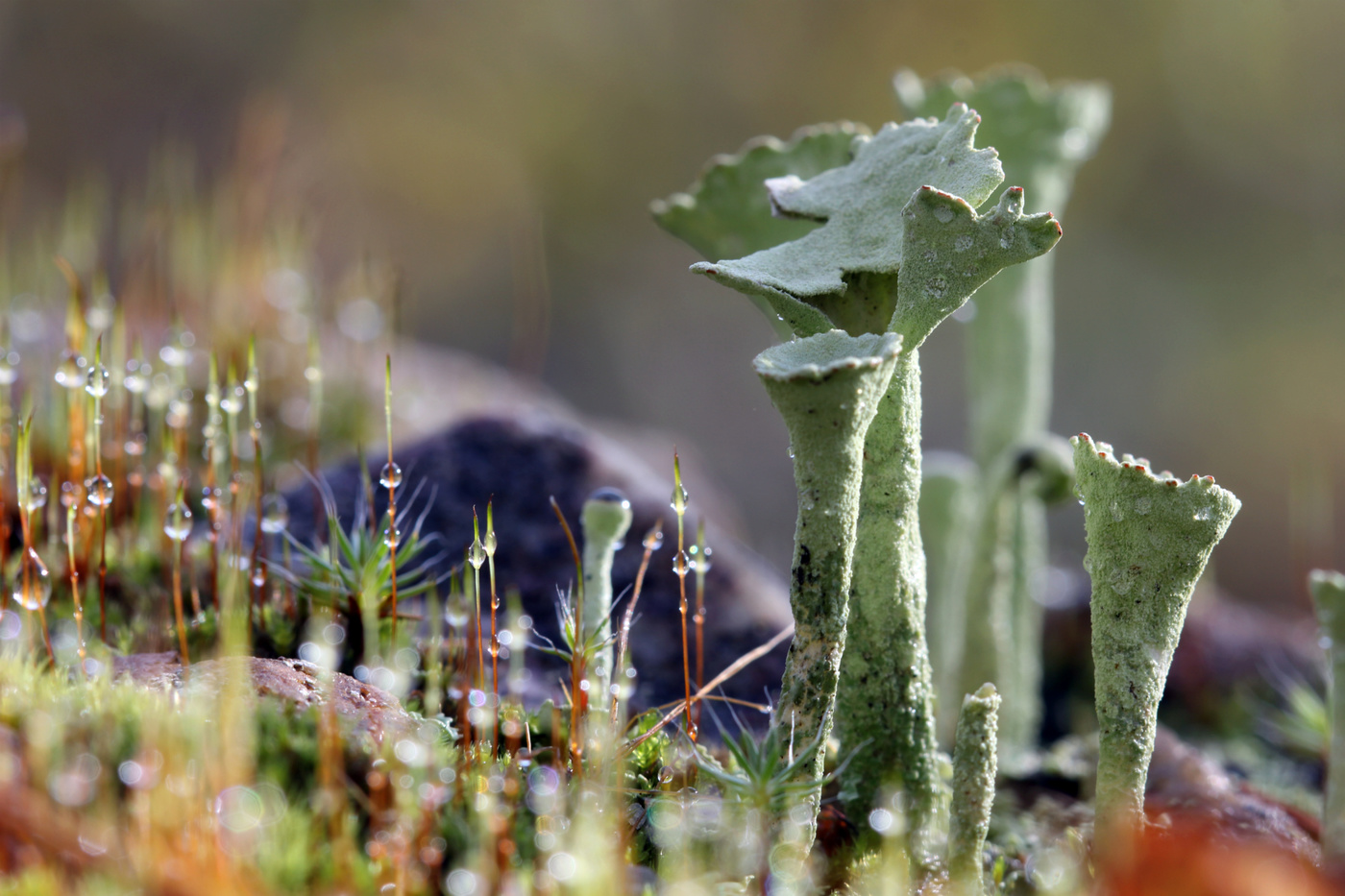 Welt unter den Füßen