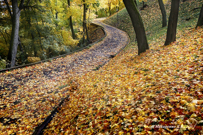 Straßen, die wir wählen
