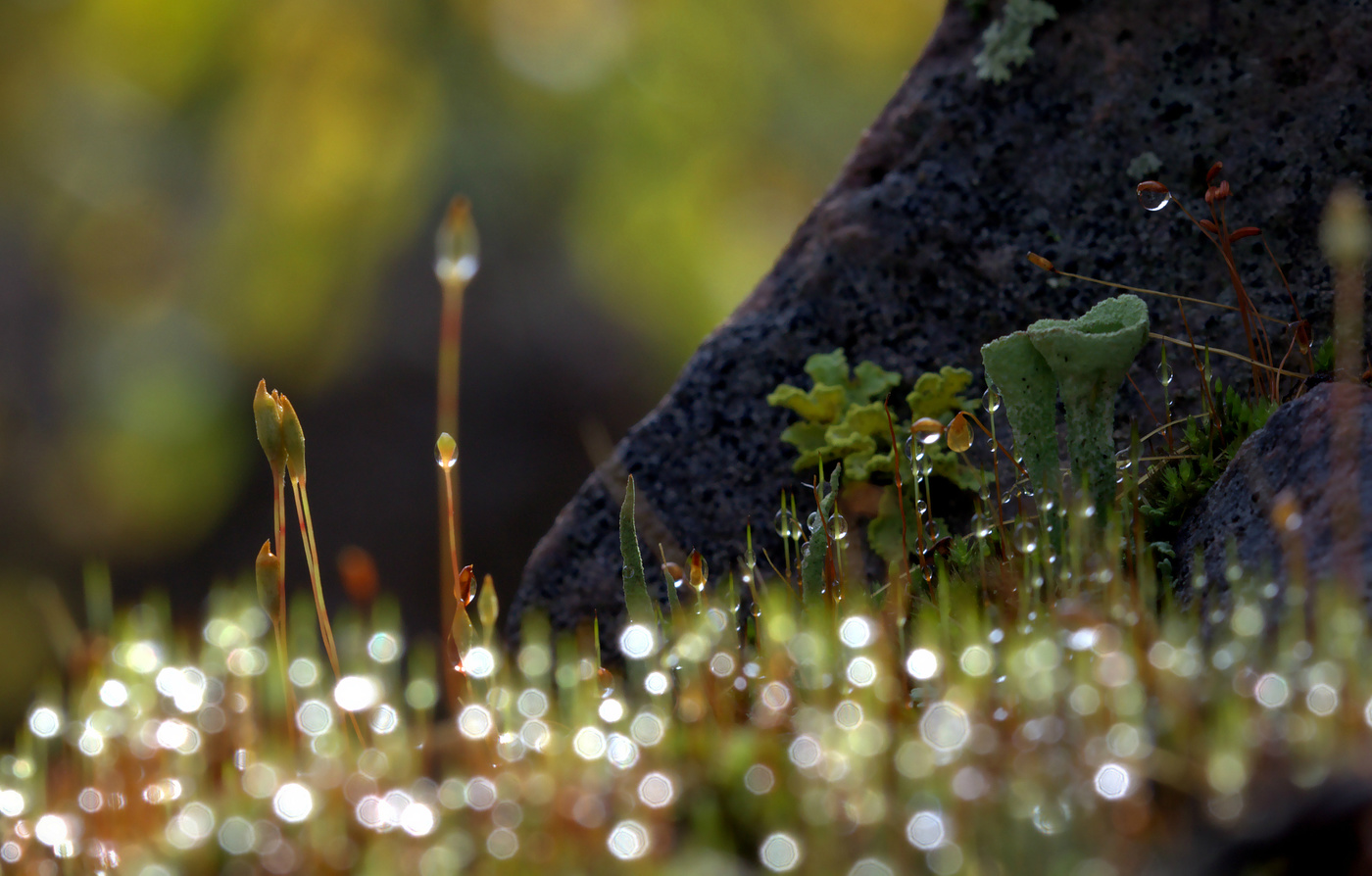 Welt unter den Füßen
