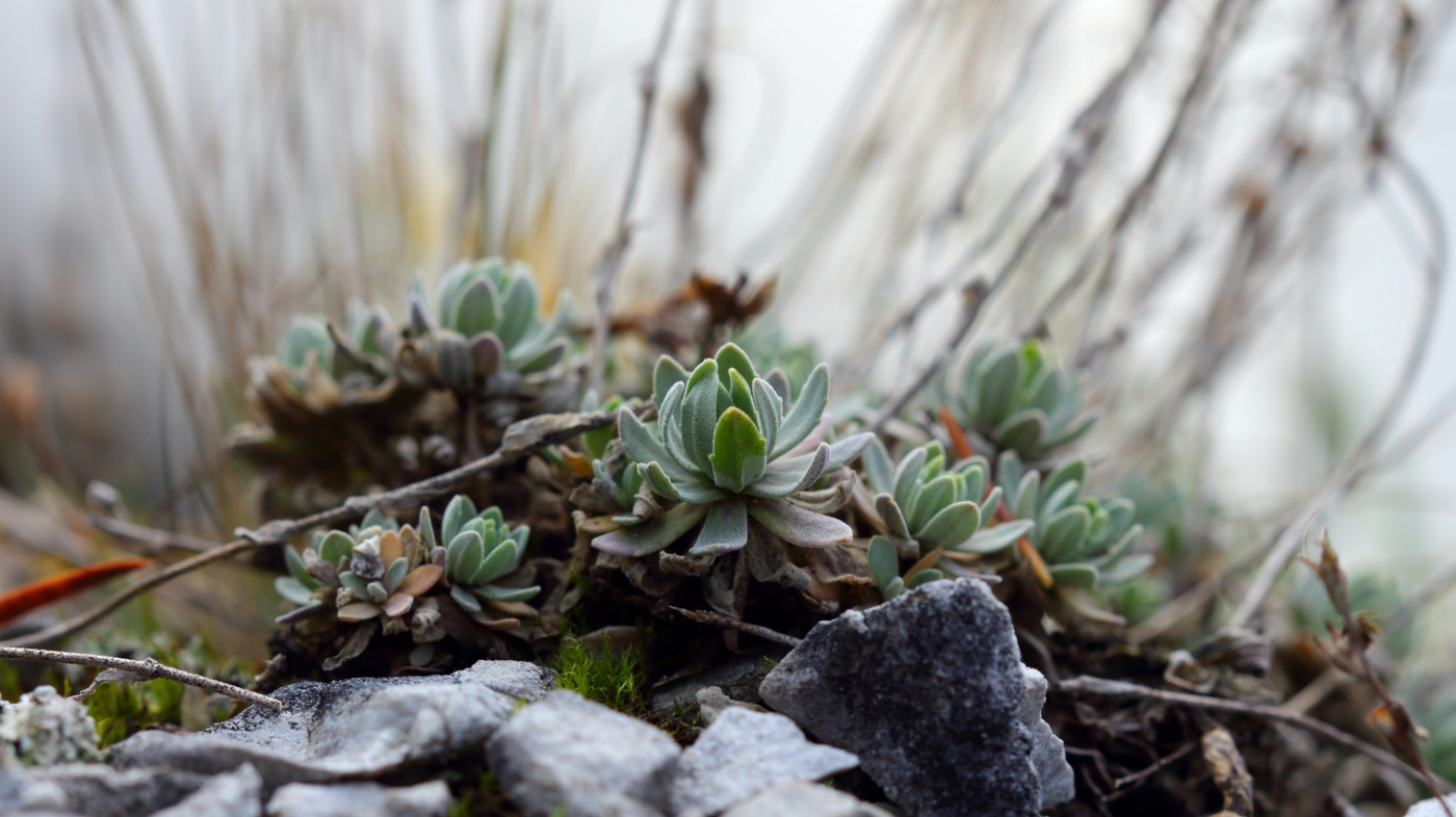 Welt unter den Füßen