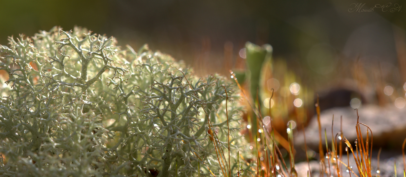 Welt unter den Füßen