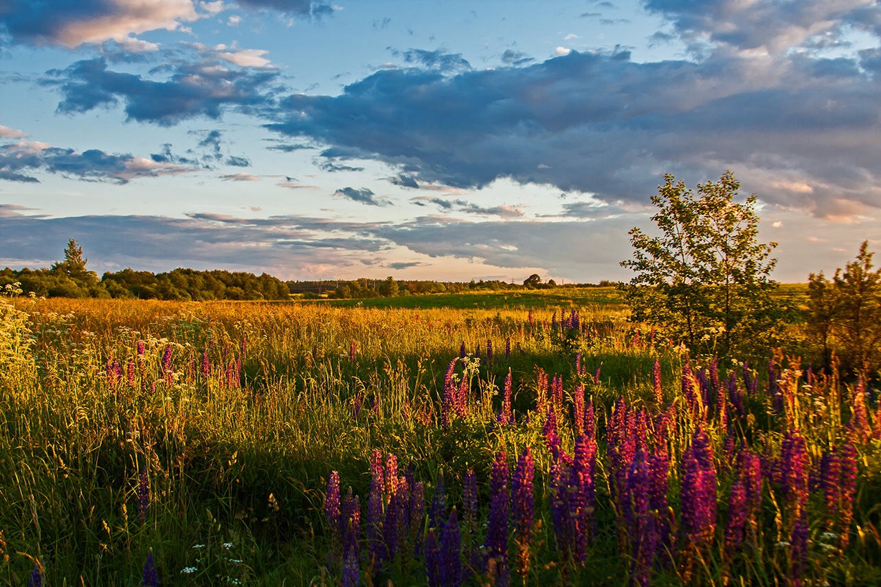 Ein bisschen Sommer.