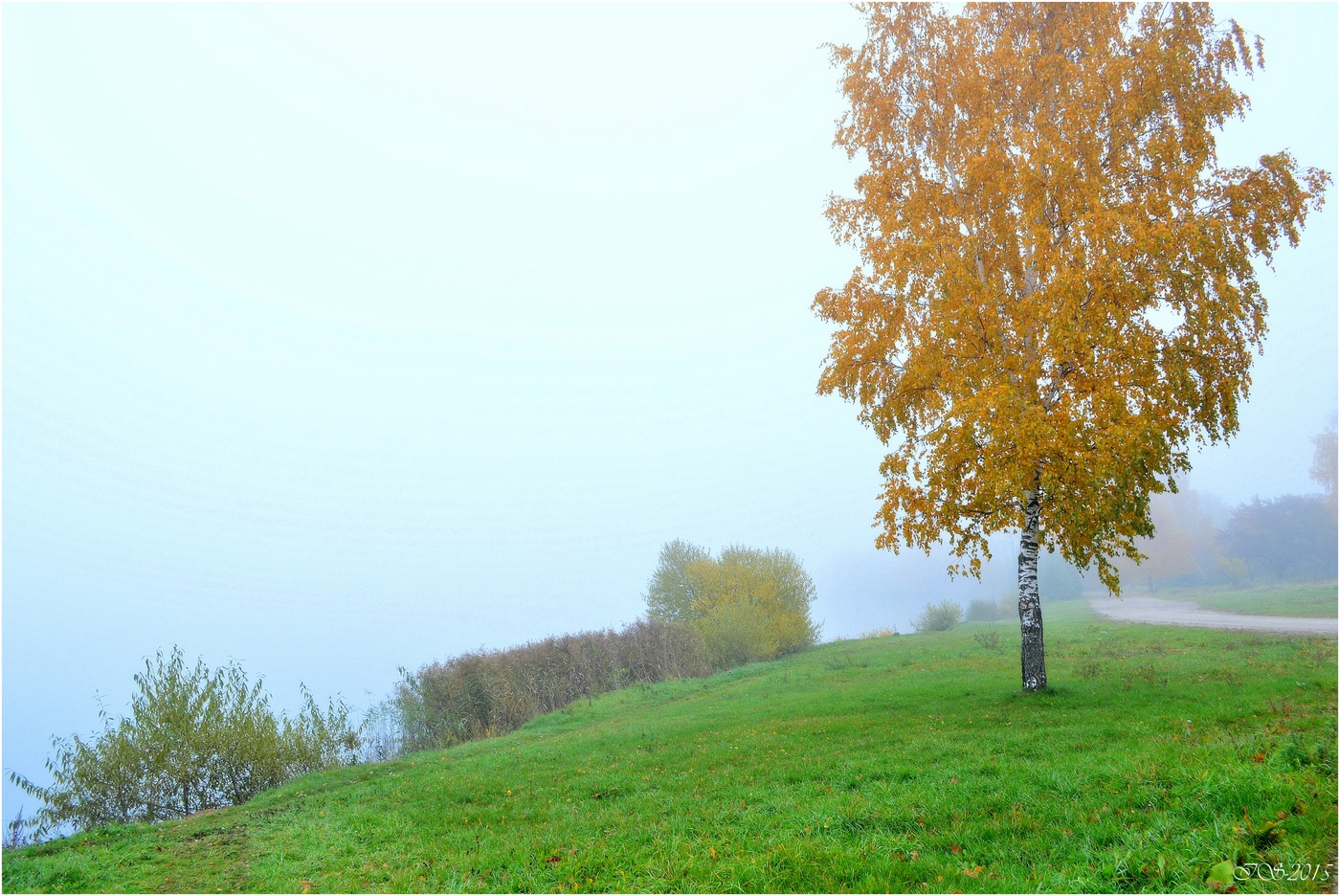 im Herbstnebel