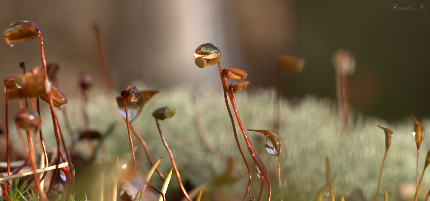 Welt unter den Füßen