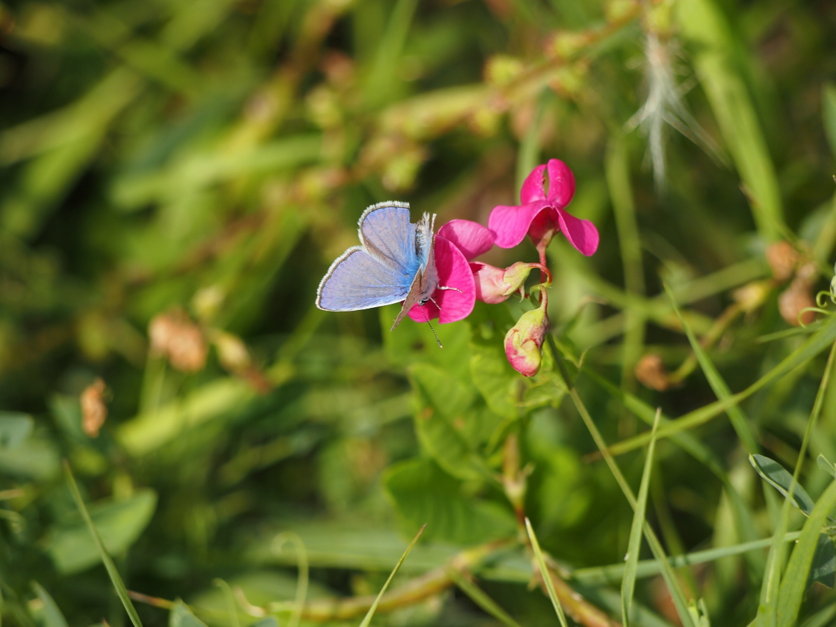 In Erinnerung an August