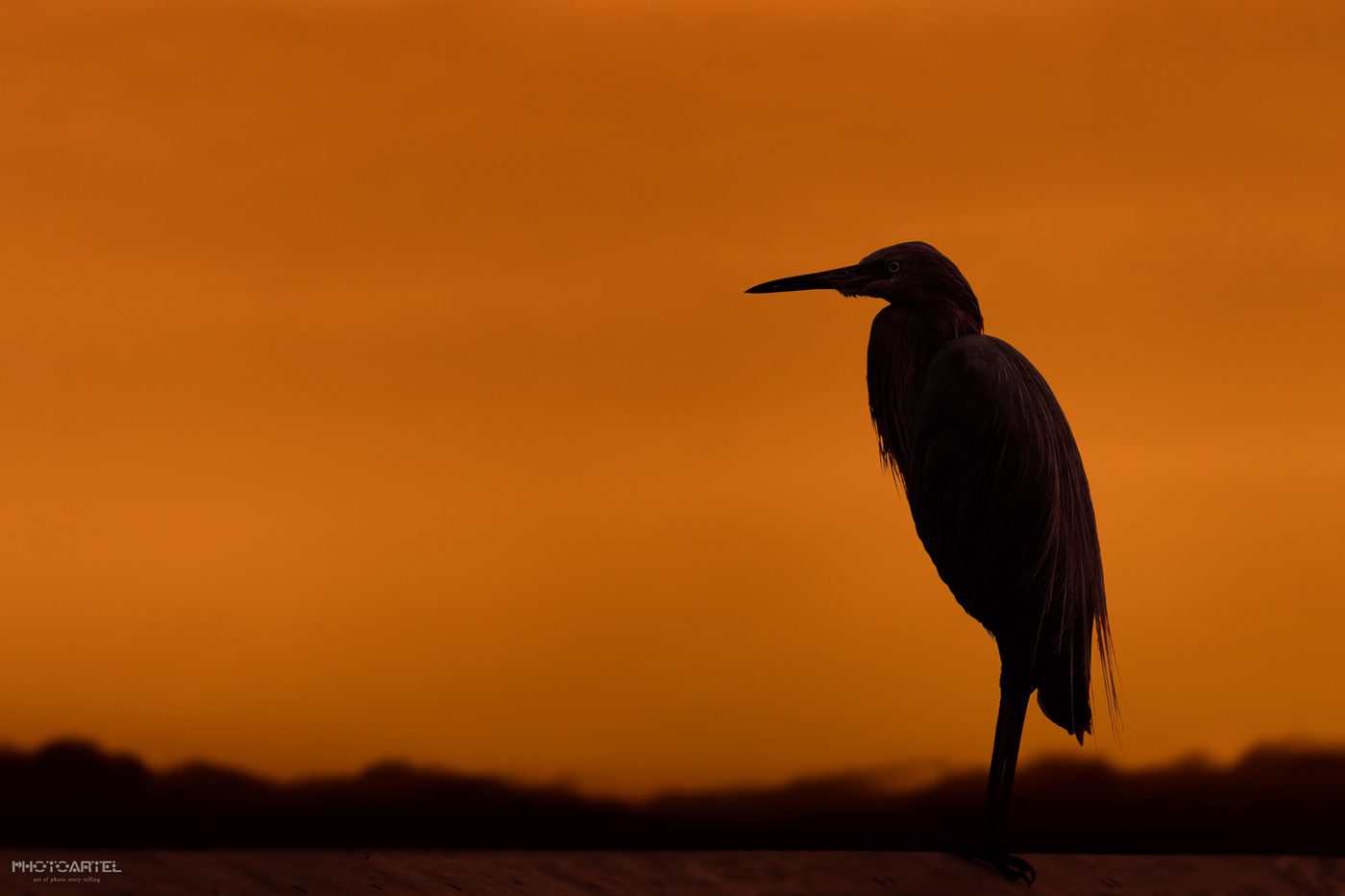 Warten auf die Sonne