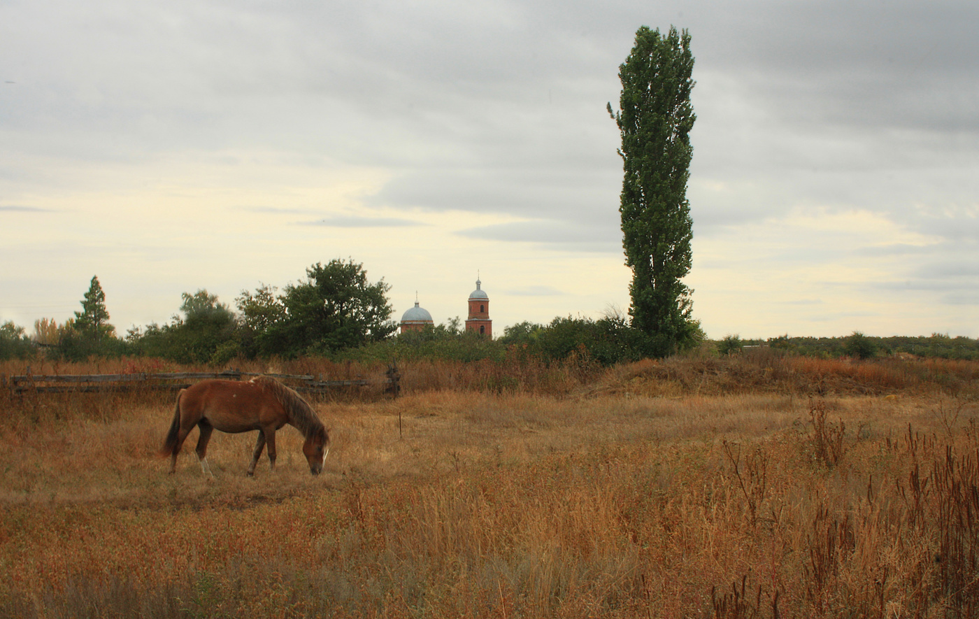 Landschaft im ländlichen Raum