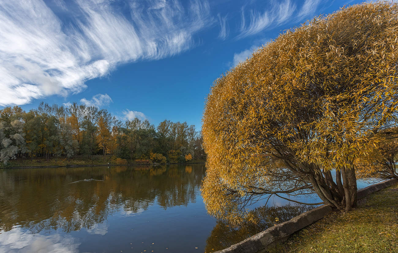 Herbst Morgendämmerung
