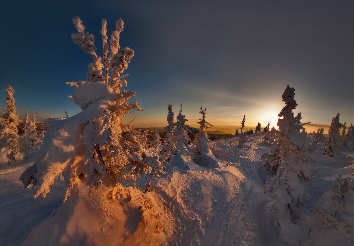 geheimnisvollen Wald