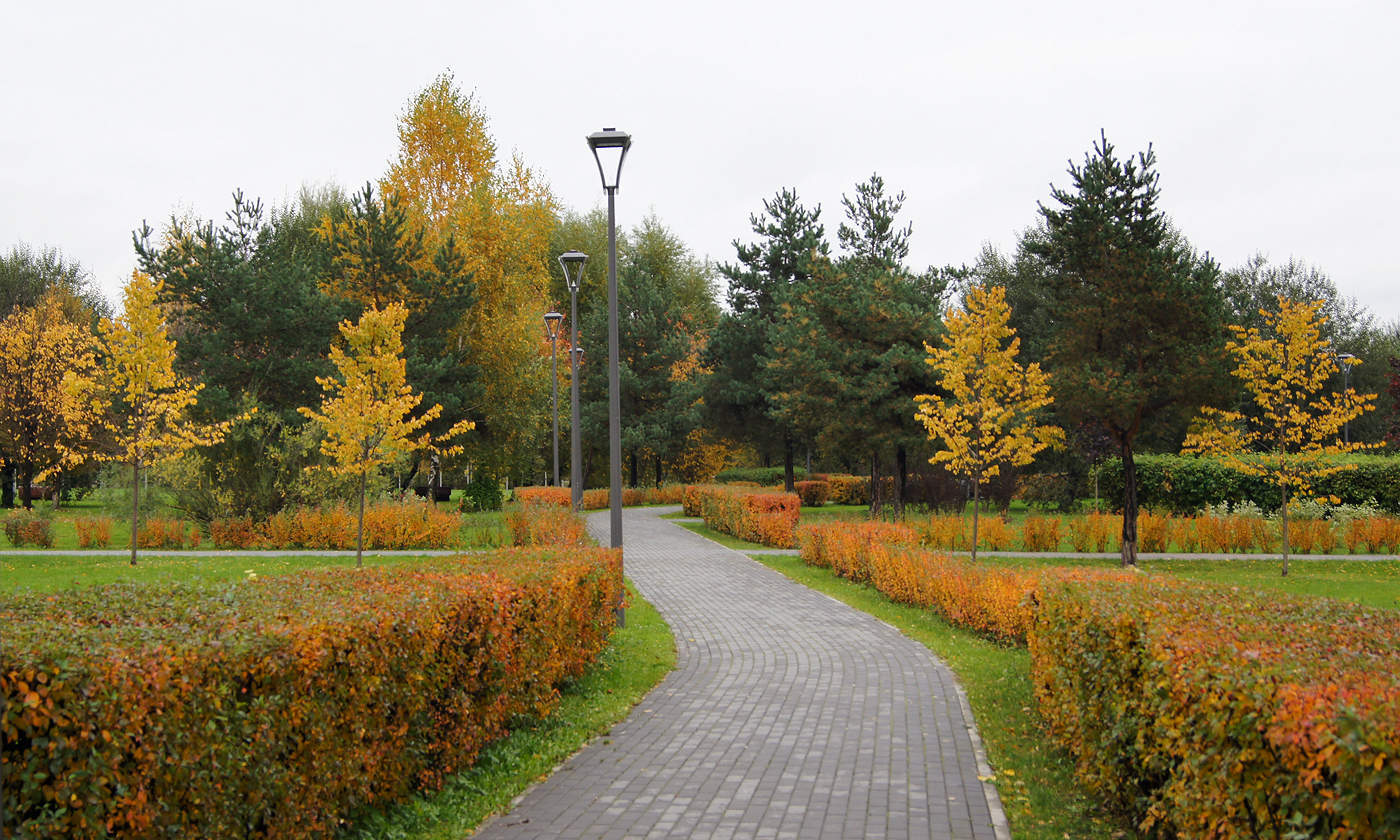 Im Herbst Park