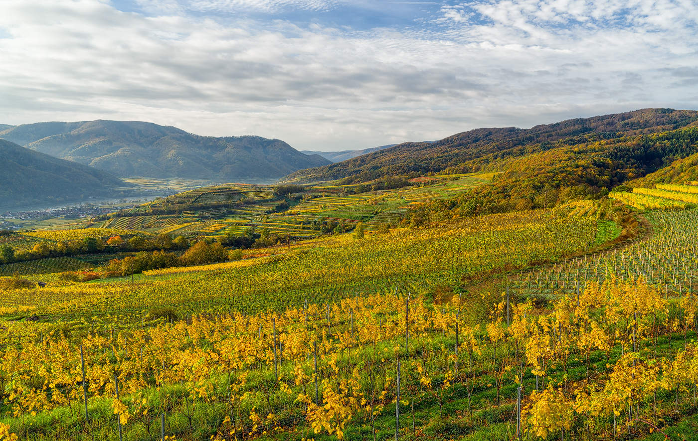 herbstliche Wachau