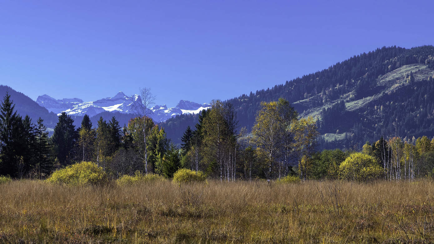 Hochmoor Rothenthurm