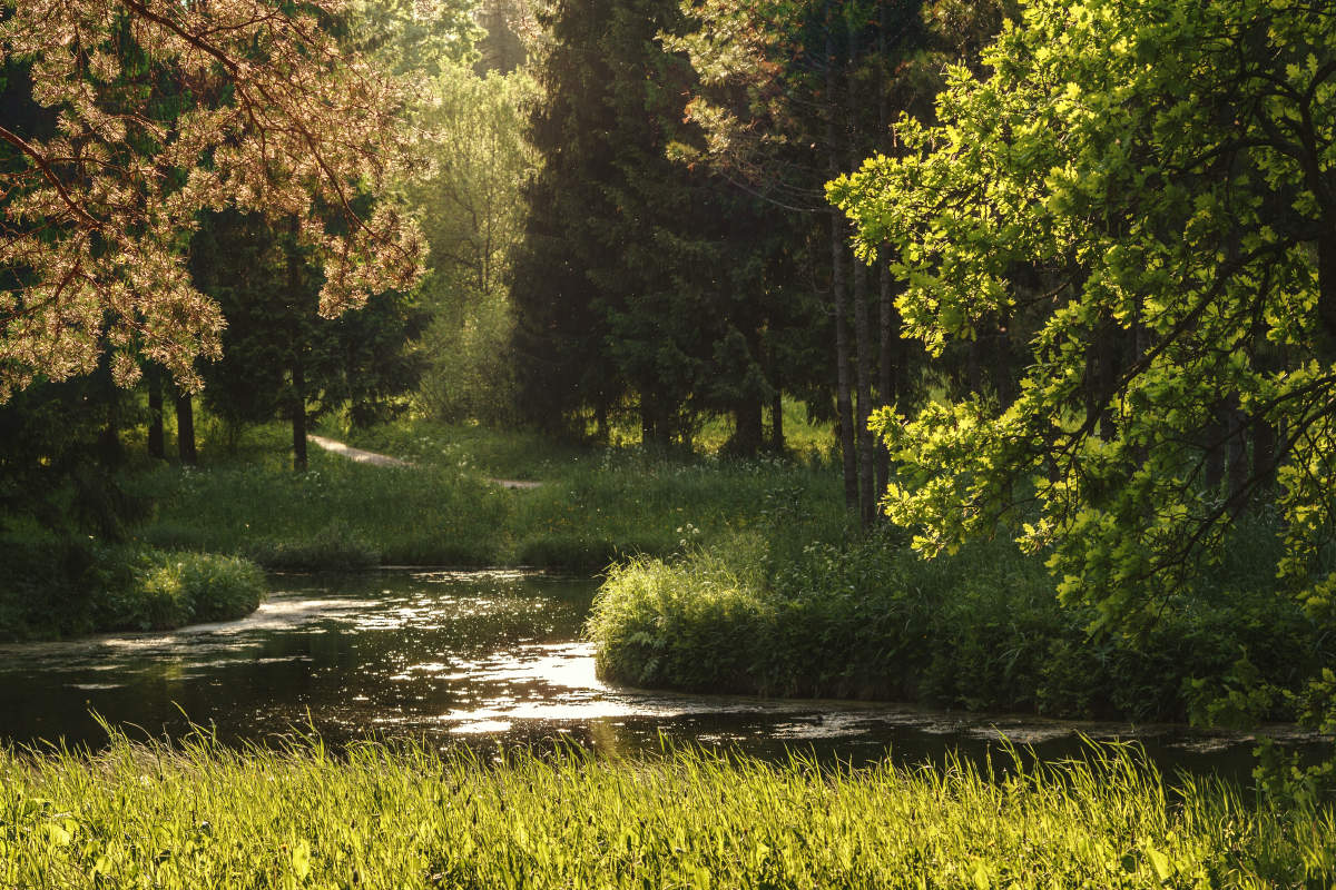 In der Privatsphäre