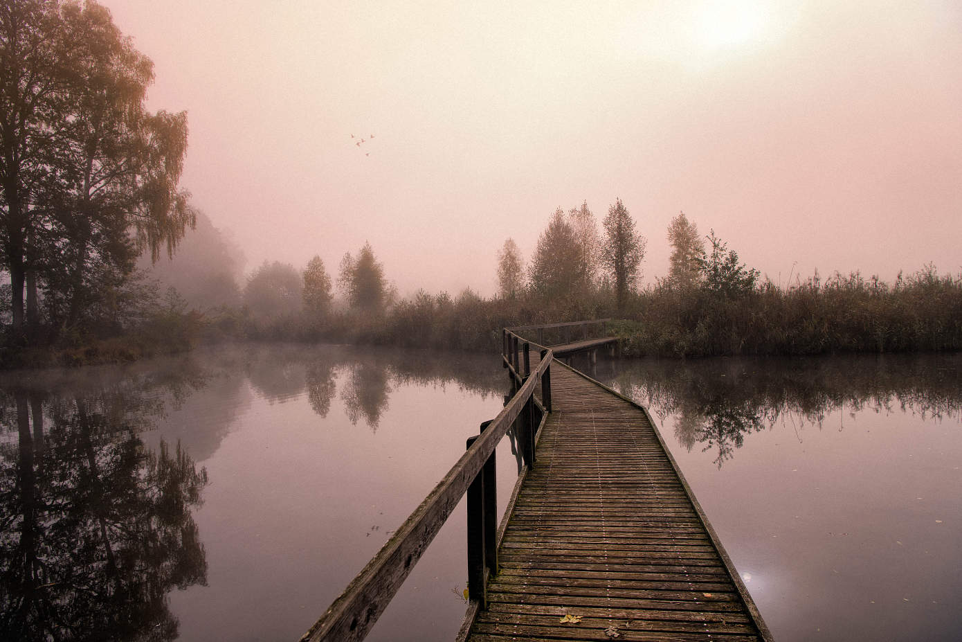Nebelmorgen am Moorsee