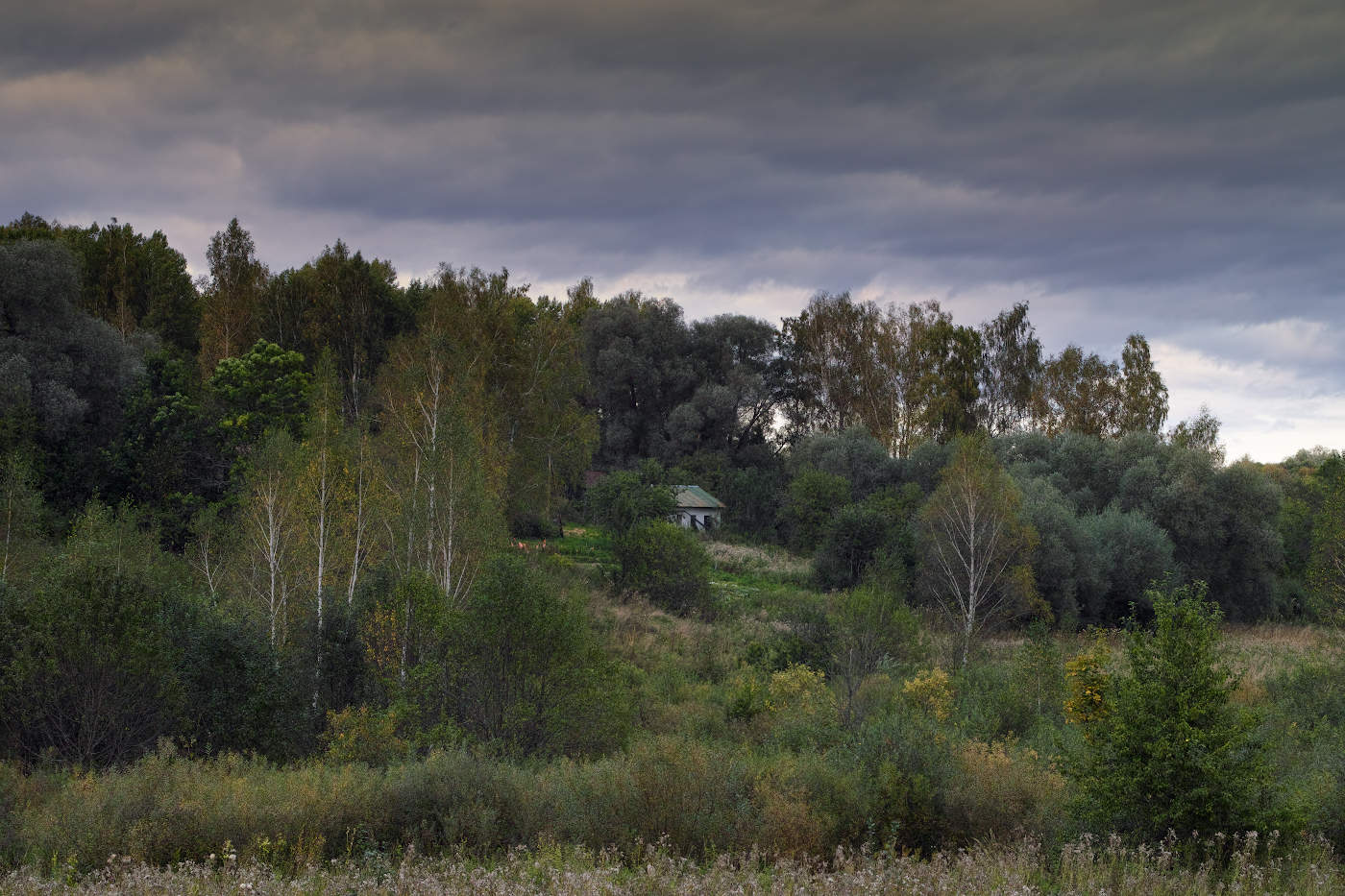 Lost in den Wäldern