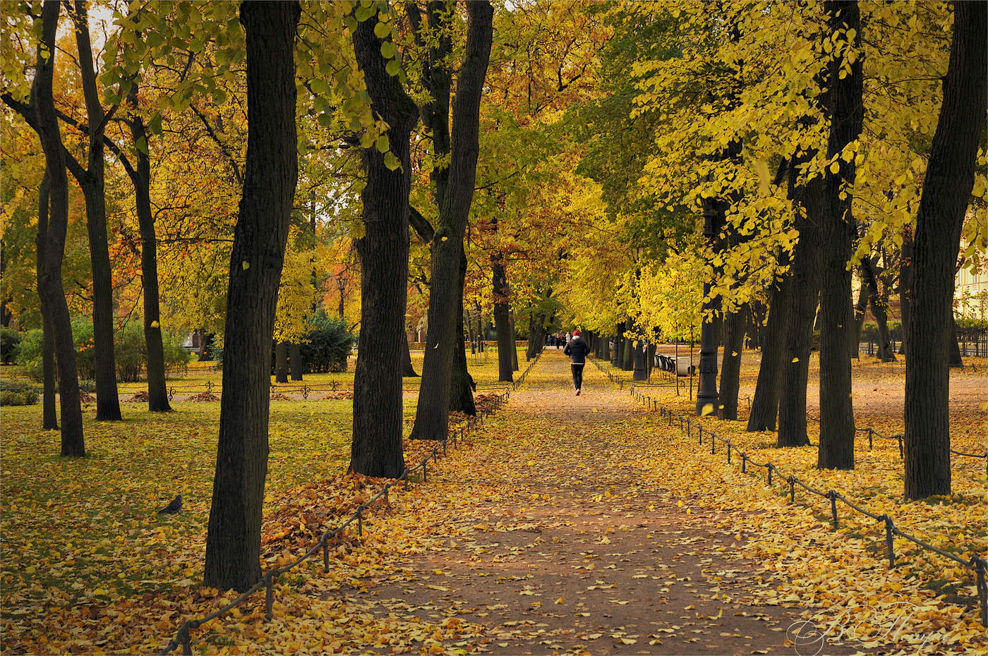 Im Herbst Park