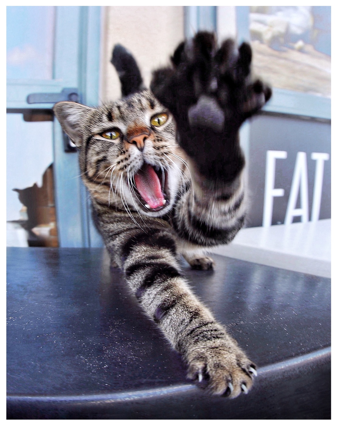 No camera!!! No…!!!