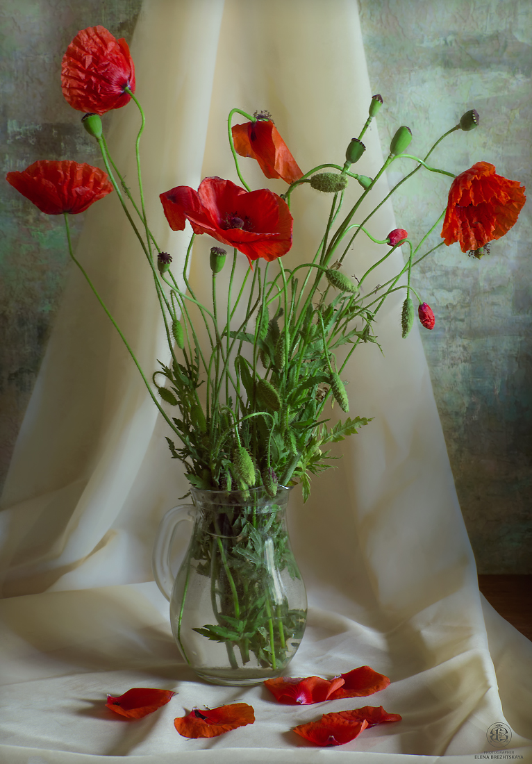 Erinnerungen an den Sommer