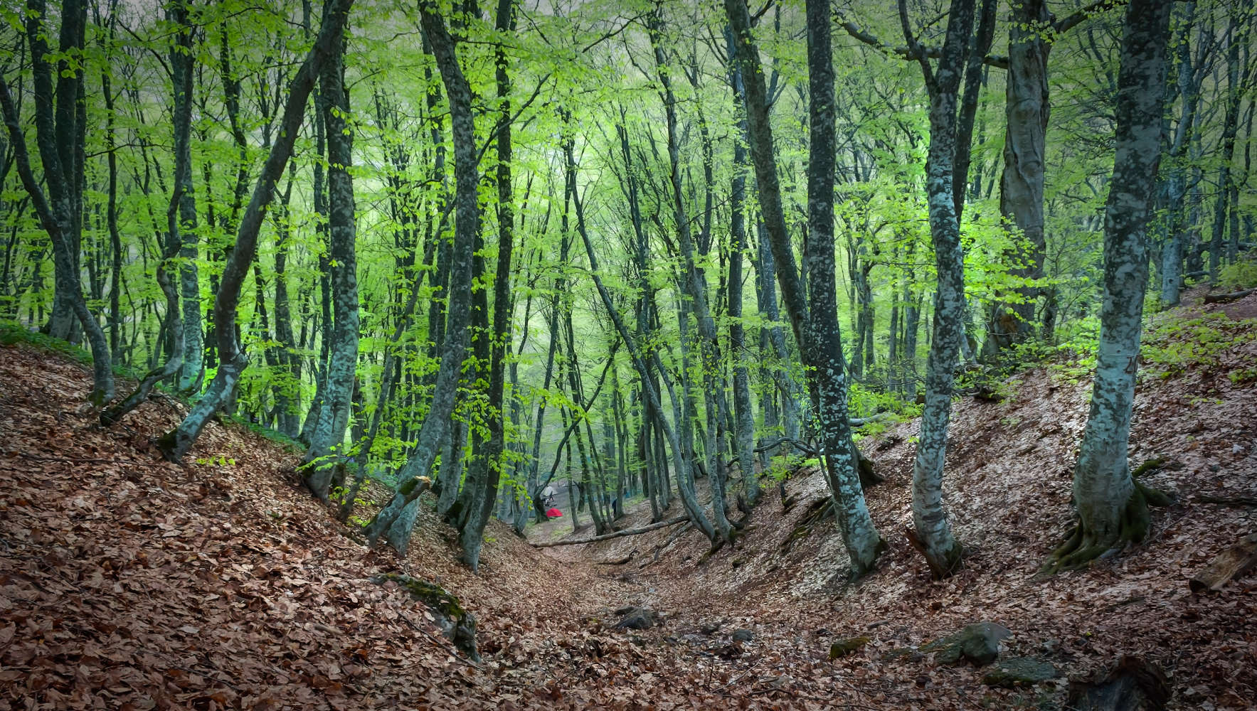 ....................